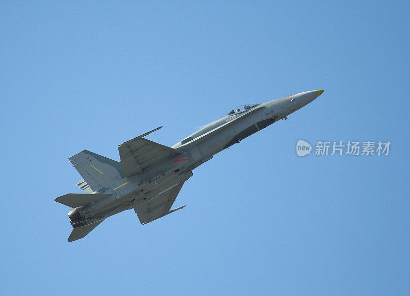 f - 18大黄蜂